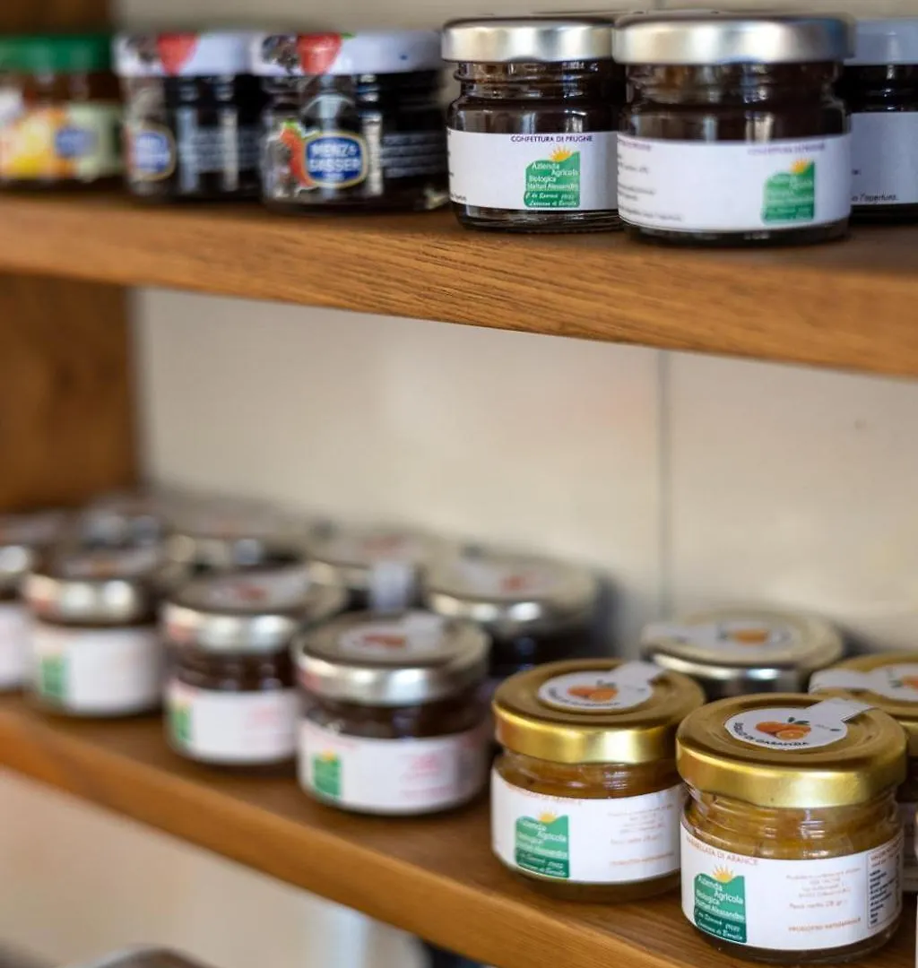Beb Domus Arbenzio San Giovanni Suite Roma Alojamento de Acomodação e Pequeno-almoço
